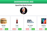 Spend Elon Musk's Fortune